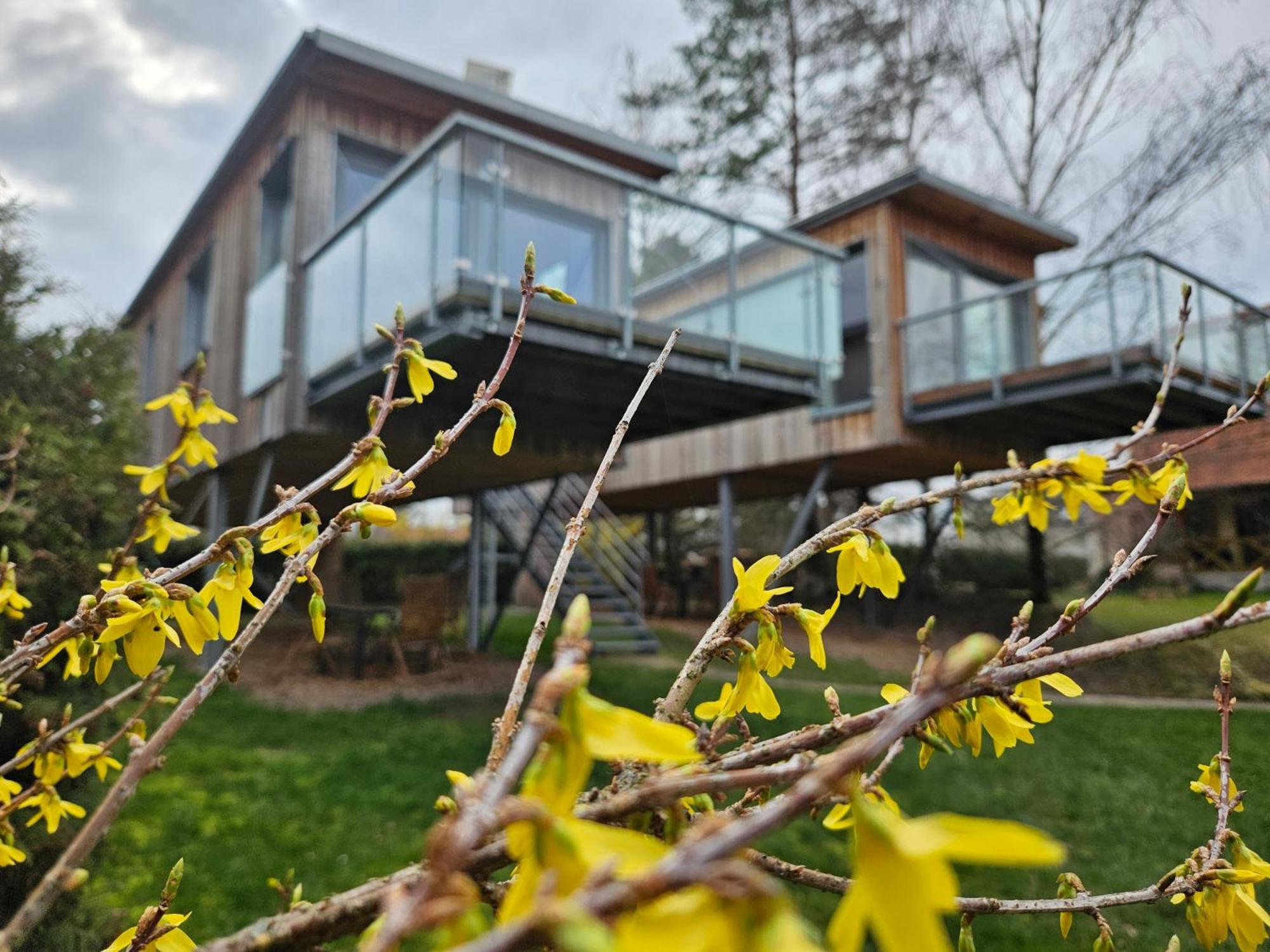 Вилла Baumhaus Und Tinyhaus Мюльхаузен Экстерьер фото