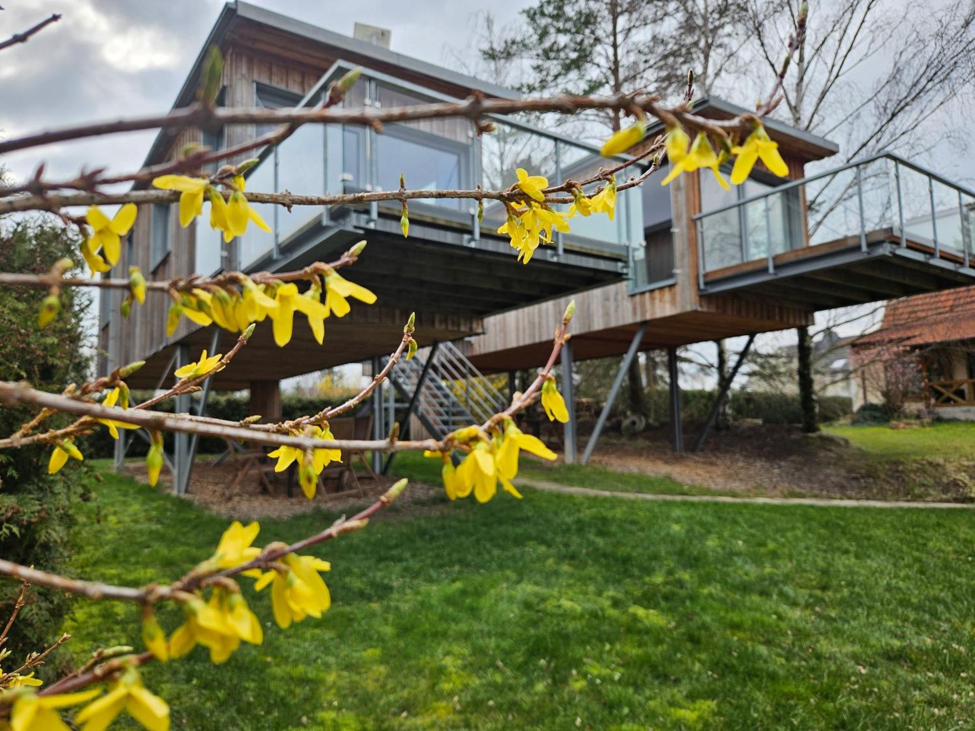 Вилла Baumhaus Und Tinyhaus Мюльхаузен Экстерьер фото