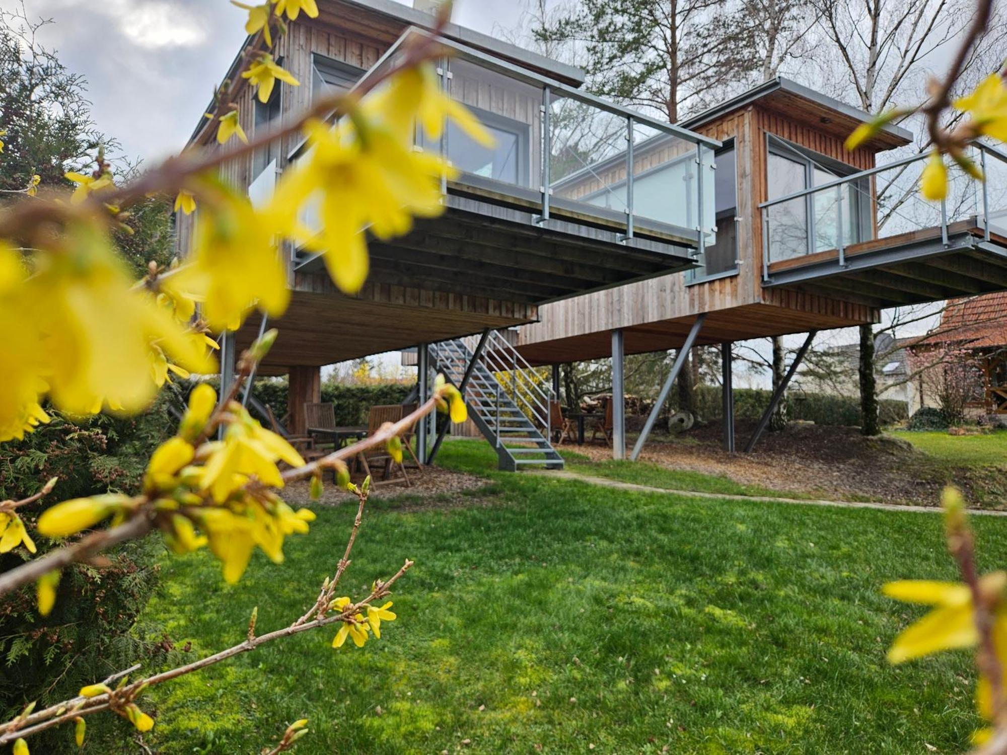 Вилла Baumhaus Und Tinyhaus Мюльхаузен Экстерьер фото